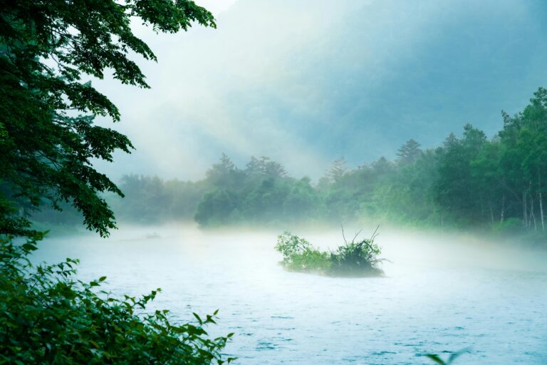 Tai Chi for beginners — where to start